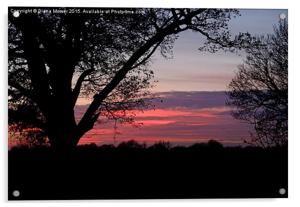  Essex Sunset Acrylic by Diana Mower