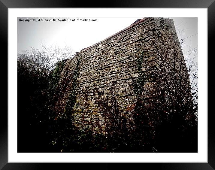   A stone outbuilding on Wenlock Edge, Shropshire Framed Mounted Print by CJ Allen