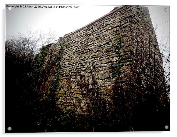   A stone outbuilding on Wenlock Edge, Shropshire Acrylic by CJ Allen