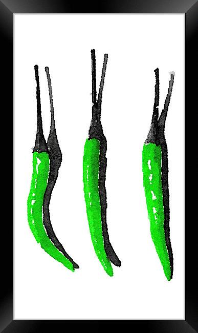 Three green peppers  Framed Print by Scott Anderson