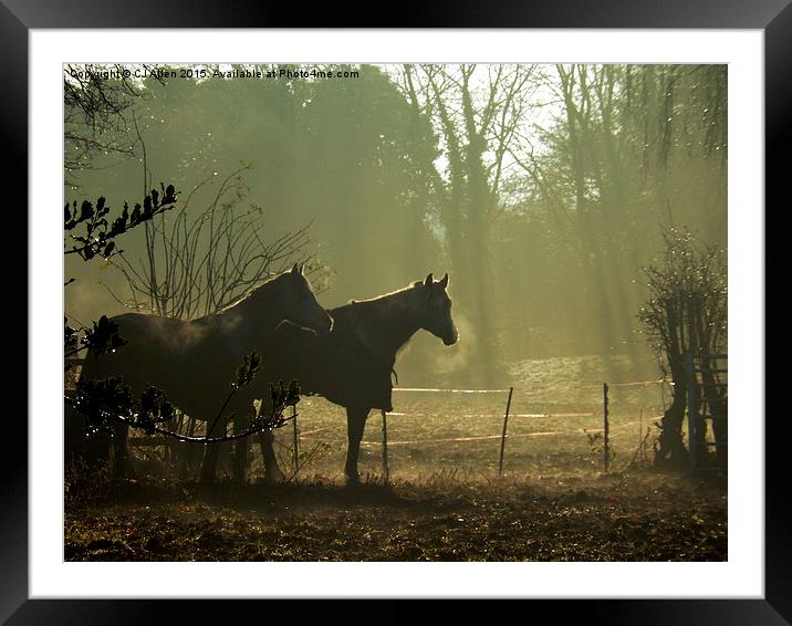 Two Horses at Winter Framed Mounted Print by CJ Allen