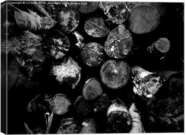 Logs- Black and White Canvas Print by CJ Allen