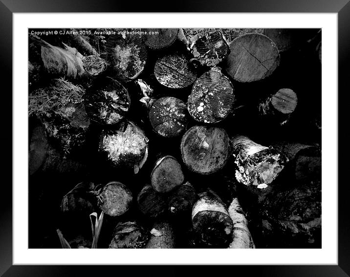 Logs- Black and White Framed Mounted Print by CJ Allen