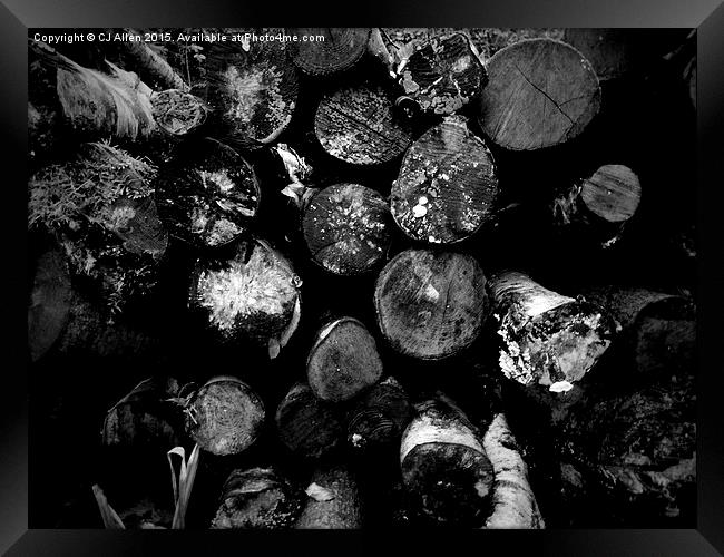 Logs- Black and White Framed Print by CJ Allen