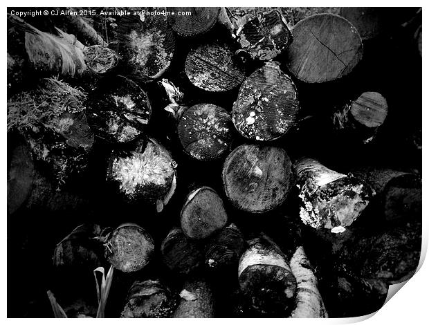 Logs- Black and White Print by CJ Allen