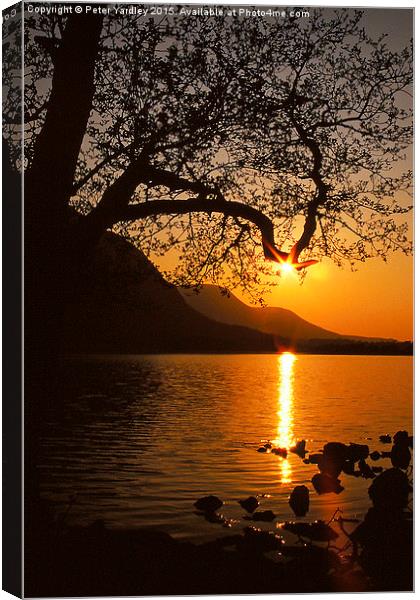  Sunset Silhouette Canvas Print by Peter Yardley