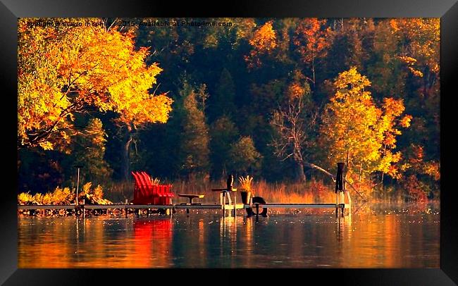  cottage life Framed Print by shawn mcphee I