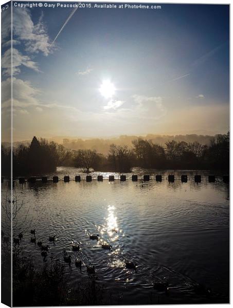 A misty morning over the river calder Canvas Print by Gary Peacock