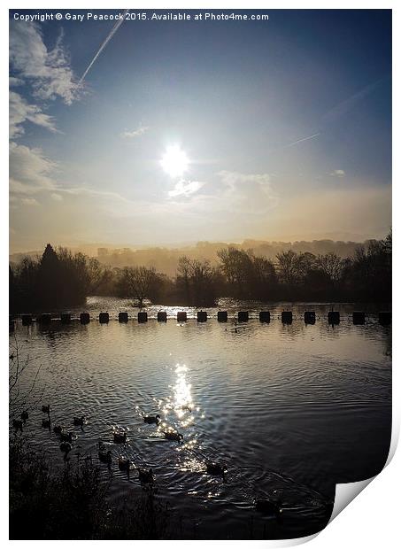  A misty morning over the river calder Print by Gary Peacock