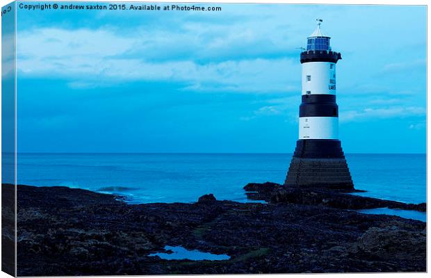  ANGLESEY POINT Canvas Print by andrew saxton