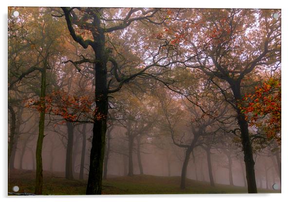 Foggy Autumn   Acrylic by chris smith