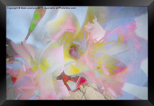  Multiple Flower Abstract Framed Print by Mark Lovelock