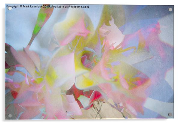  Multiple Flower Abstract Acrylic by Mark Lovelock