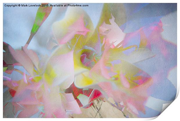 Multiple Flower Abstract Print by Mark Lovelock