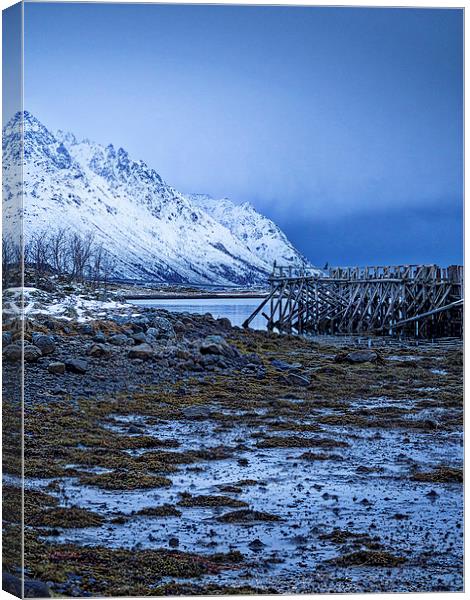 Arctic Jetty, Lofoten, Norway Canvas Print by Mark Llewellyn