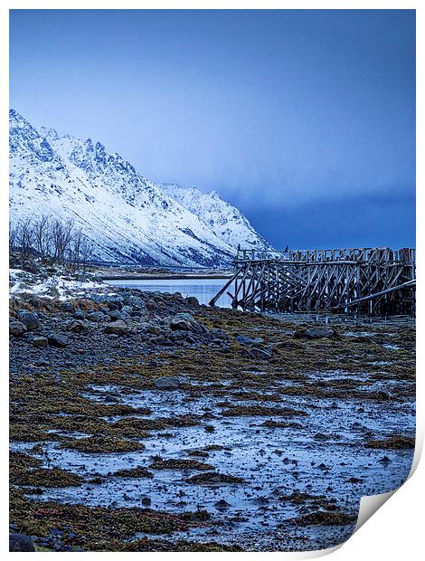 Arctic Jetty, Lofoten, Norway Print by Mark Llewellyn