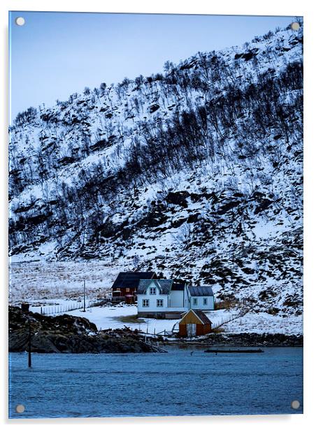 Norwegian Homes, Tromso, Norway Acrylic by Mark Llewellyn
