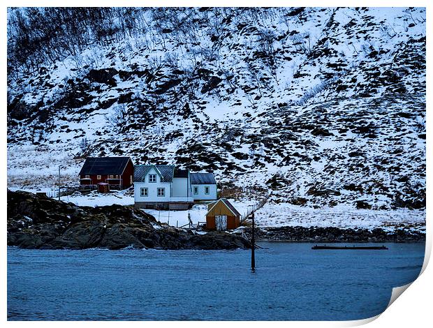Norwegian Homes, Tromso, Norway Print by Mark Llewellyn