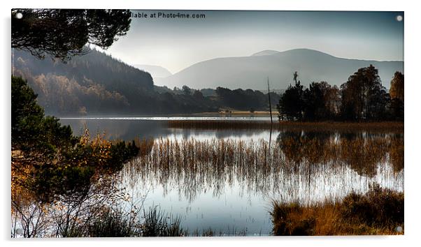  Loch Pityoulish Acrylic by Alan Simpson
