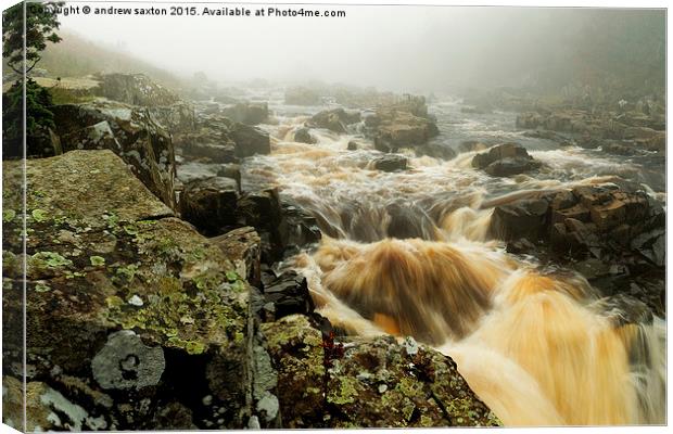  TEESDALE WATER Canvas Print by andrew saxton