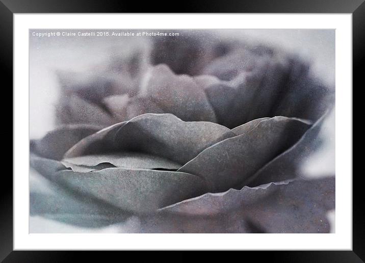 Rose Framed Mounted Print by Claire Castelli