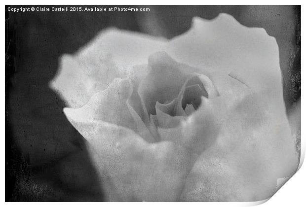  black and white rose Print by Claire Castelli