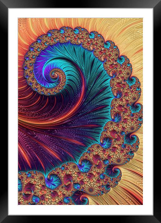 Bejewelled Spiral Framed Mounted Print by Steve Purnell