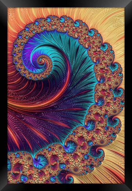 Bejewelled Spiral Framed Print by Steve Purnell