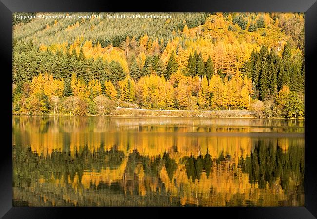  Reflections on Loch Lubnaig Framed Print by Lynne Morris (Lswpp)