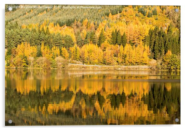  Reflections on Loch Lubnaig Acrylic by Lynne Morris (Lswpp)