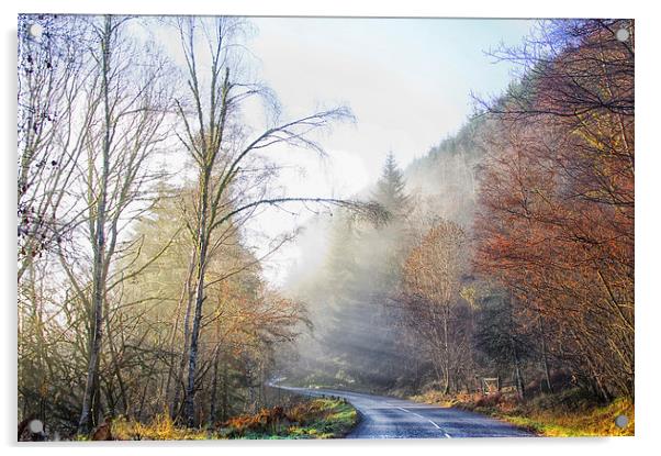 Misty Forest Acrylic by Jacqi Elmslie