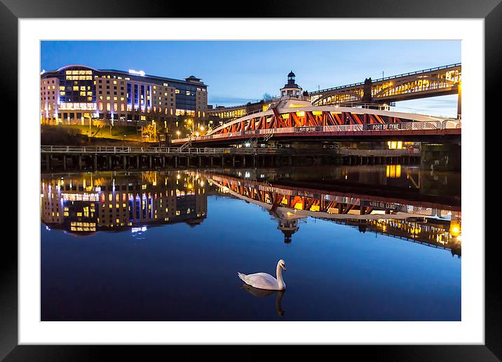  Newcastle Quayside - One Swan A Swimming Framed Mounted Print by Northeast Images