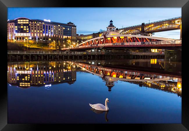  Newcastle Quayside - One Swan A Swimming Framed Print by Northeast Images