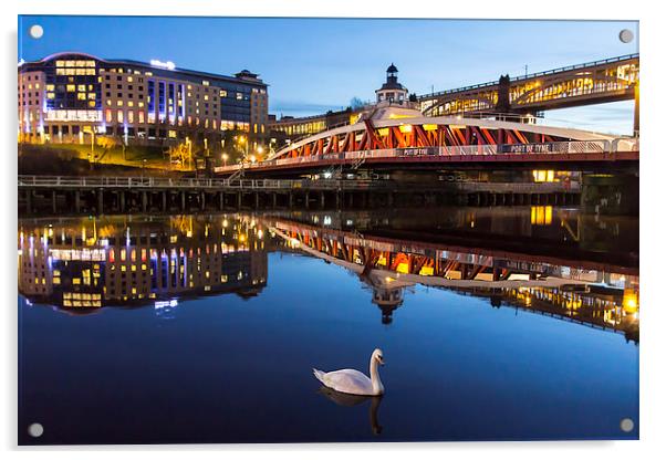  Newcastle Quayside - One Swan A Swimming Acrylic by Northeast Images