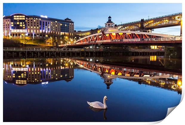  Newcastle Quayside - One Swan A Swimming Print by Northeast Images