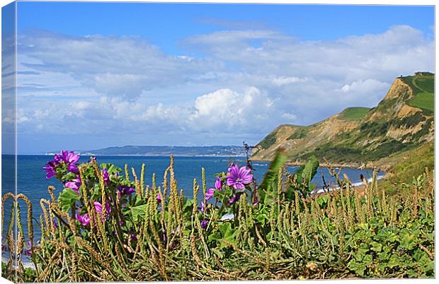 Eype Dorset Canvas Print by David (Dai) Meacham