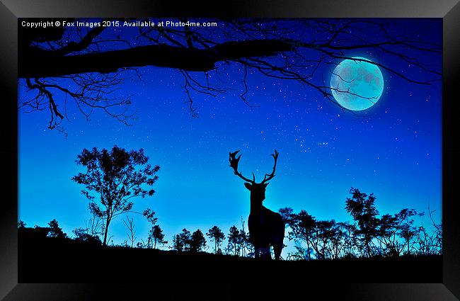  deer and moon Framed Print by Derrick Fox Lomax