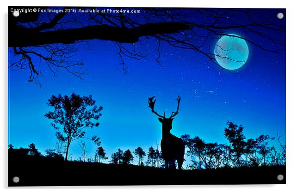 deer and moon Acrylic by Derrick Fox Lomax