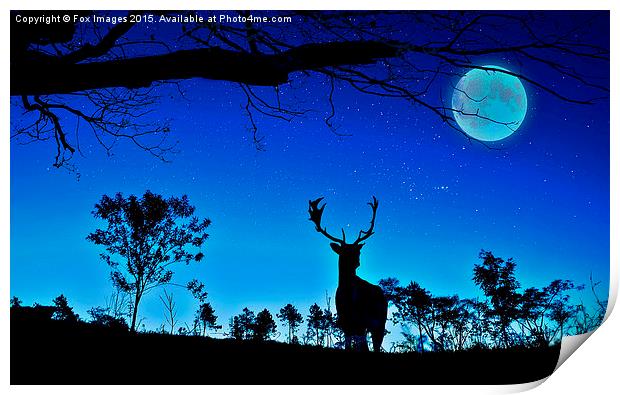  deer and moon Print by Derrick Fox Lomax