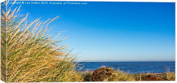  Looking out to sea Canvas Print by Lee Sutton