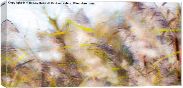  Abstract Grasses Canvas Print by Mark Lovelock