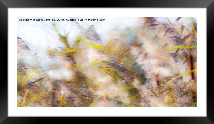  Abstract Grasses Framed Mounted Print by Mark Lovelock