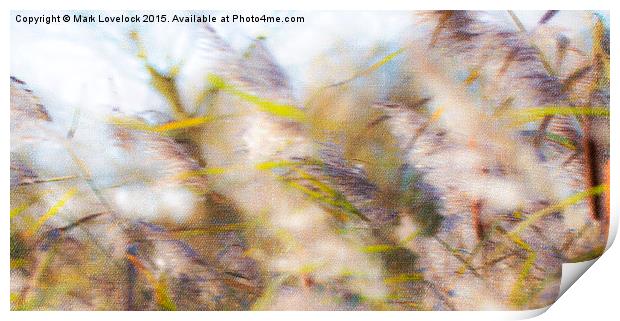  Abstract Grasses Print by Mark Lovelock