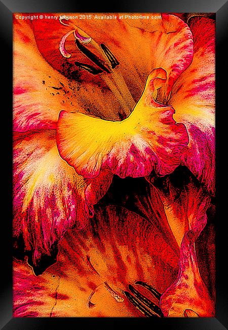 Flower Love Framed Print by henry harrison