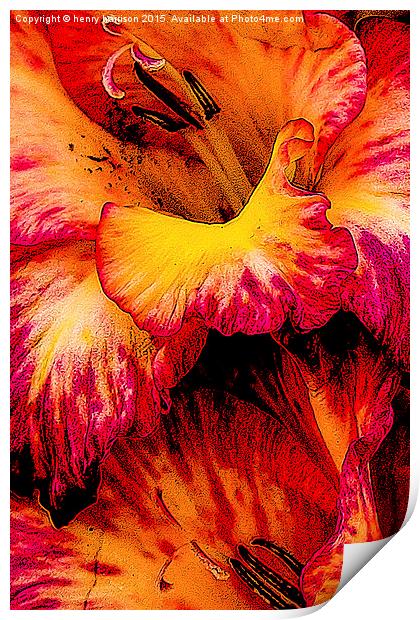  Flower Love Print by henry harrison