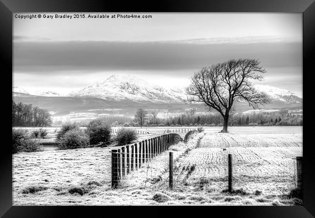  Winter Field Framed Print by GBR Photos