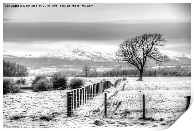  Winter Field Print by GBR Photos