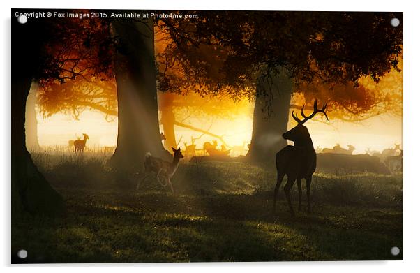  Forest deer and mist Acrylic by Derrick Fox Lomax