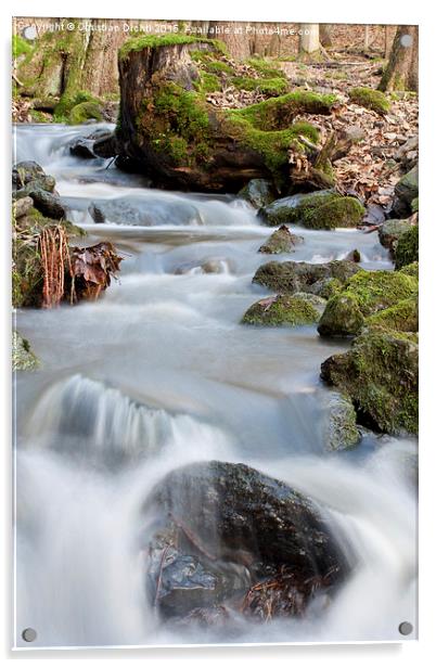  Flieden, Hessen, Germany, Creek, Water, Flow Acrylic by Christian Dichtl