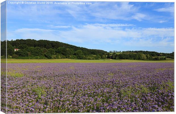  Marburg, Hessen, Germany, Field, Shades of violet Canvas Print by Christian Dichtl